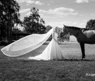 Pferdeshooting: Hochzeitsfoto der Braut mit ihrem eigenen Pferd in Darmstadt (Hessen)